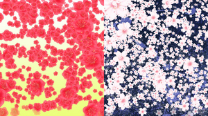 桜梅の花.jpg